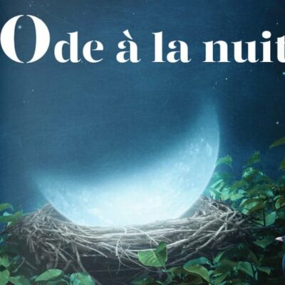 © Foto: Arte
